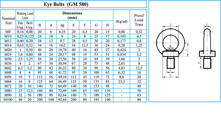 Halka Başlı Metrik Civata (GM 580)